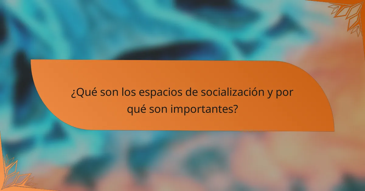 ¿Qué son los espacios de socialización y por qué son importantes?